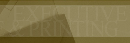 Executive Envelope & Printing Solutions, Inc.