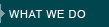 WHAT WE DO